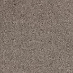 ALLEGRO PLATINUM