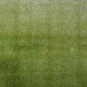 PASTO RIVIERA GREEN