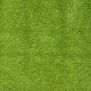 PASTO AMAZONAS GREEN